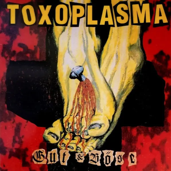 Toxoplasma - Gut und Böse